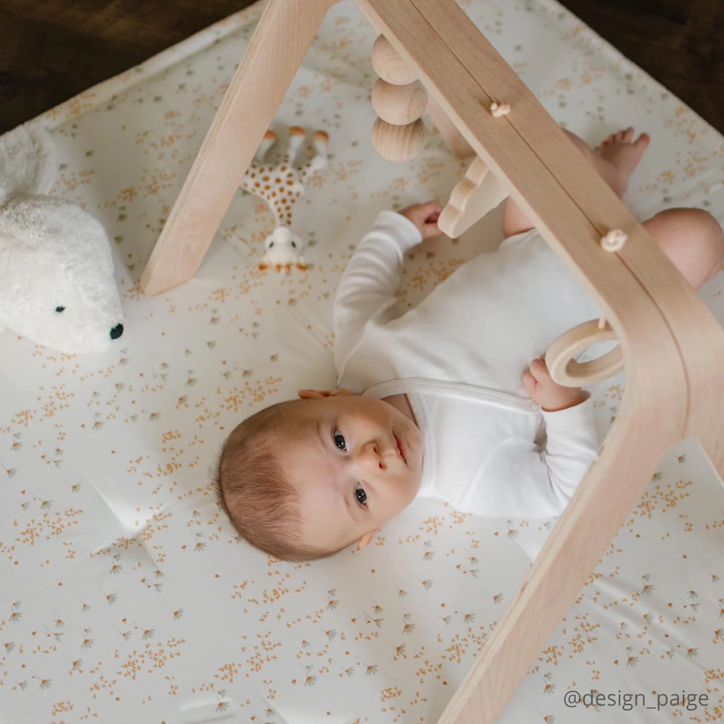 NAHO アクティビティ トイアーチ